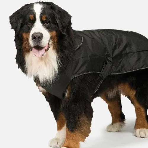 2-in-1 Harness Dog Coat