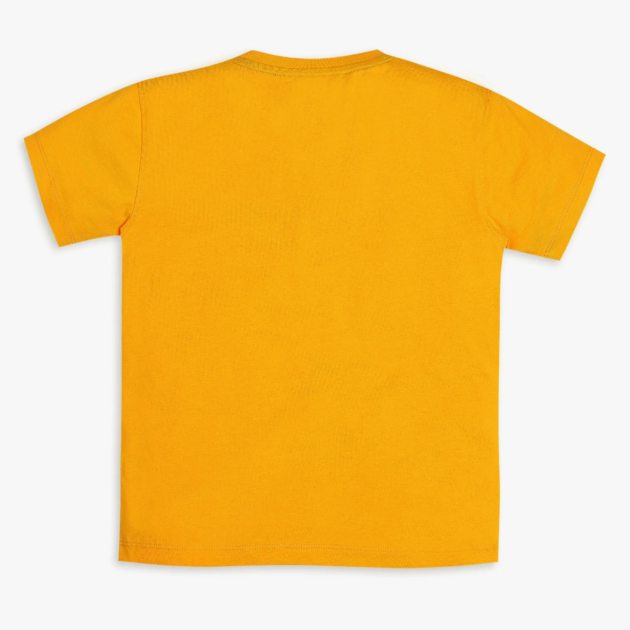 Boys Regular Fit Solid T-Shirt