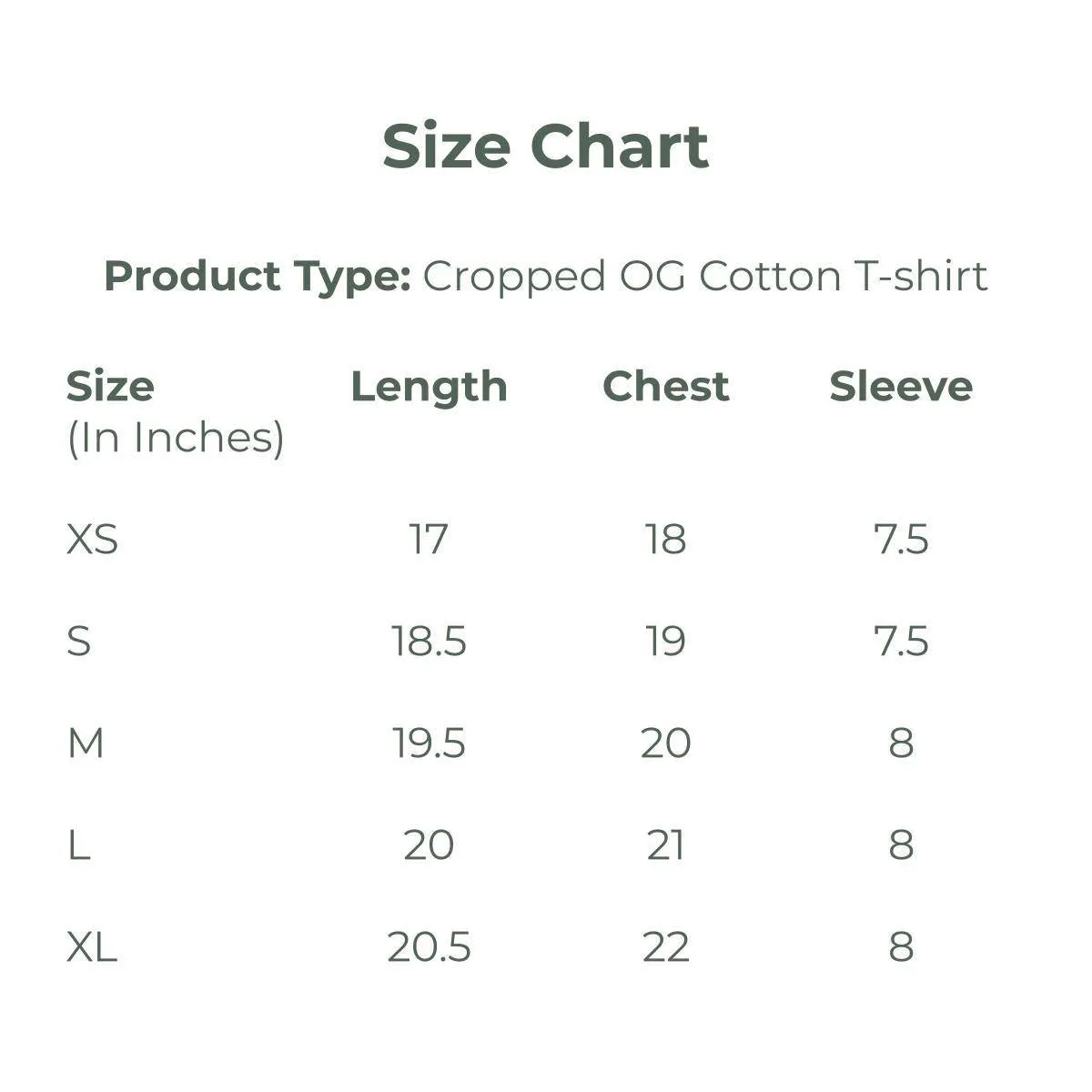 OG Cotton T Shirt - Sky